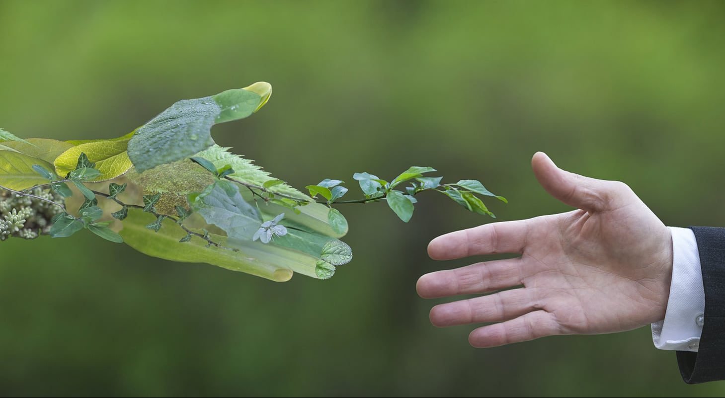 Management de l'environnement